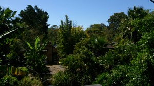 Adelaide Zoo greenery