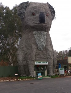 The Giant Koala is open