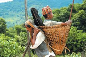 A traditional Nepalese 'doko' - would it be able to help get Louise off the Ngole glacier to safety?