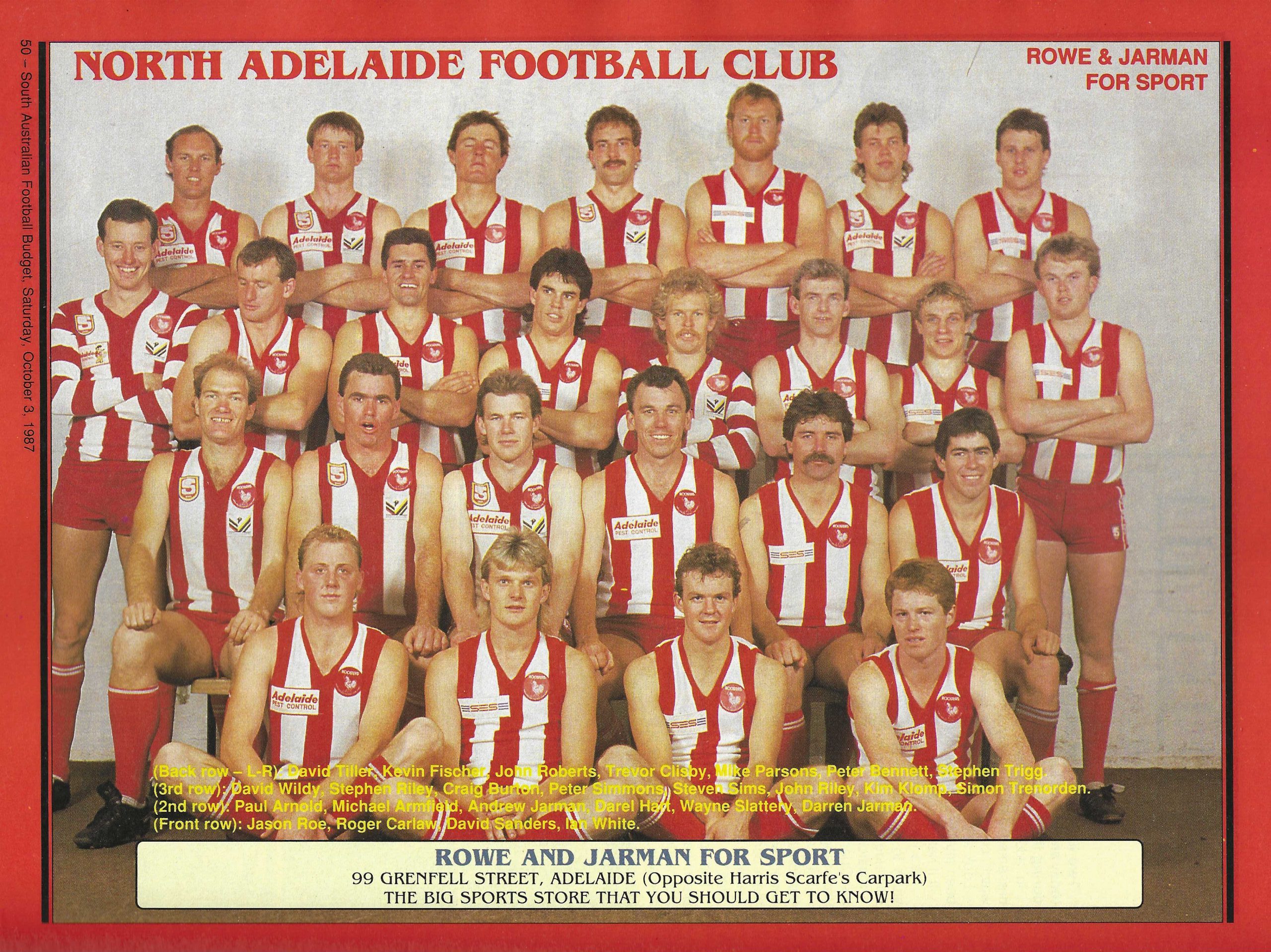 SANFL 1987 Grand Final North Adelaide v Glenelg Amayzing